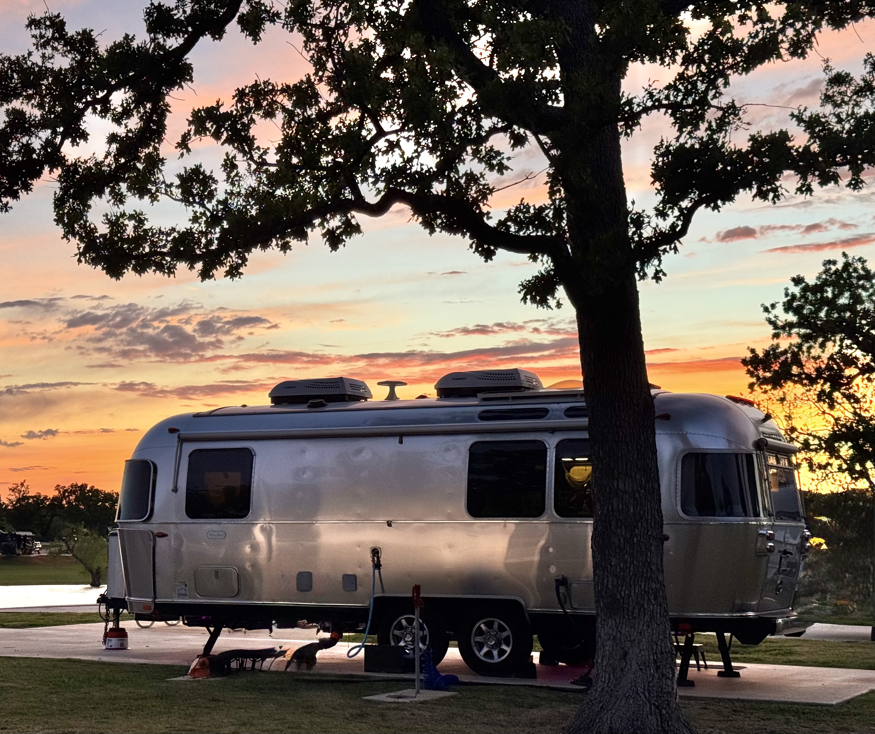 Belle at sunset at the Vineyards Campground, Grapevine, Texas