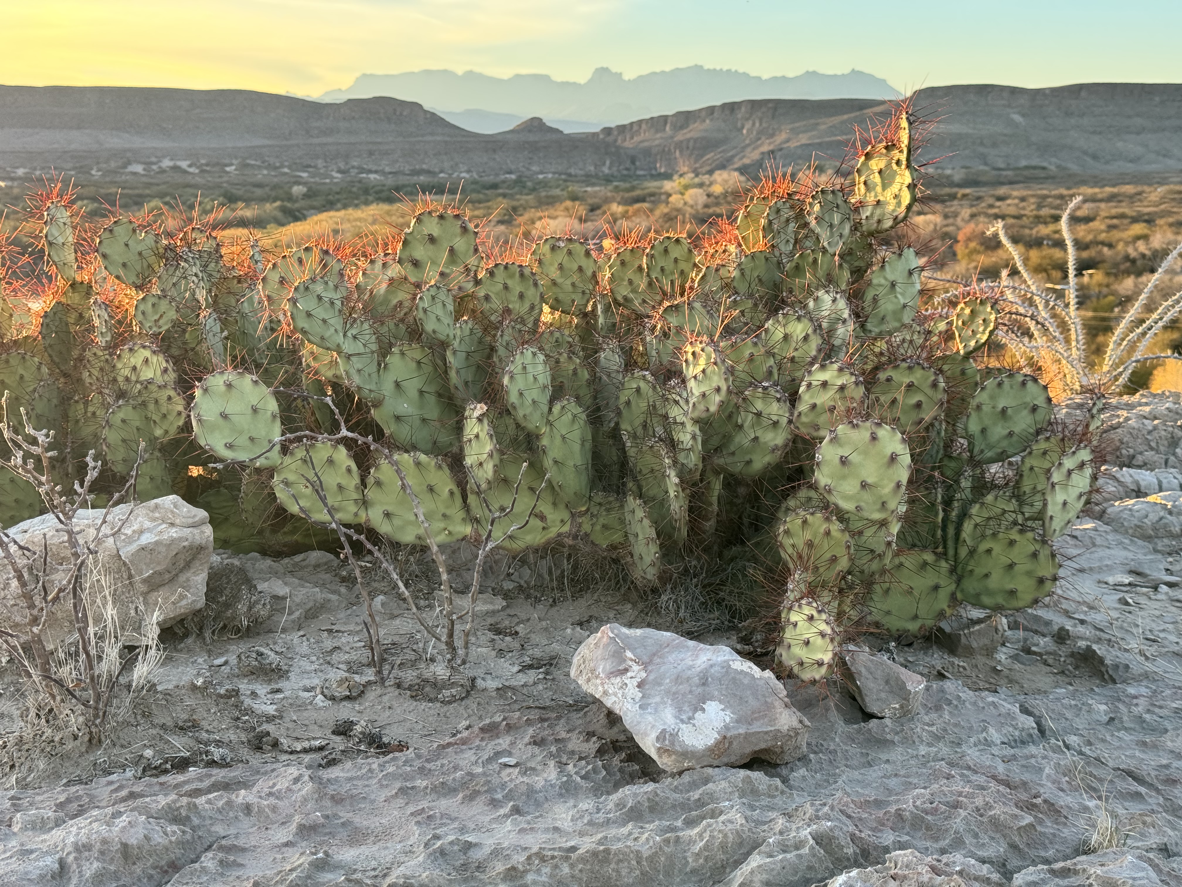 Sunset at the Valley Overlook, Rio Grande Village
