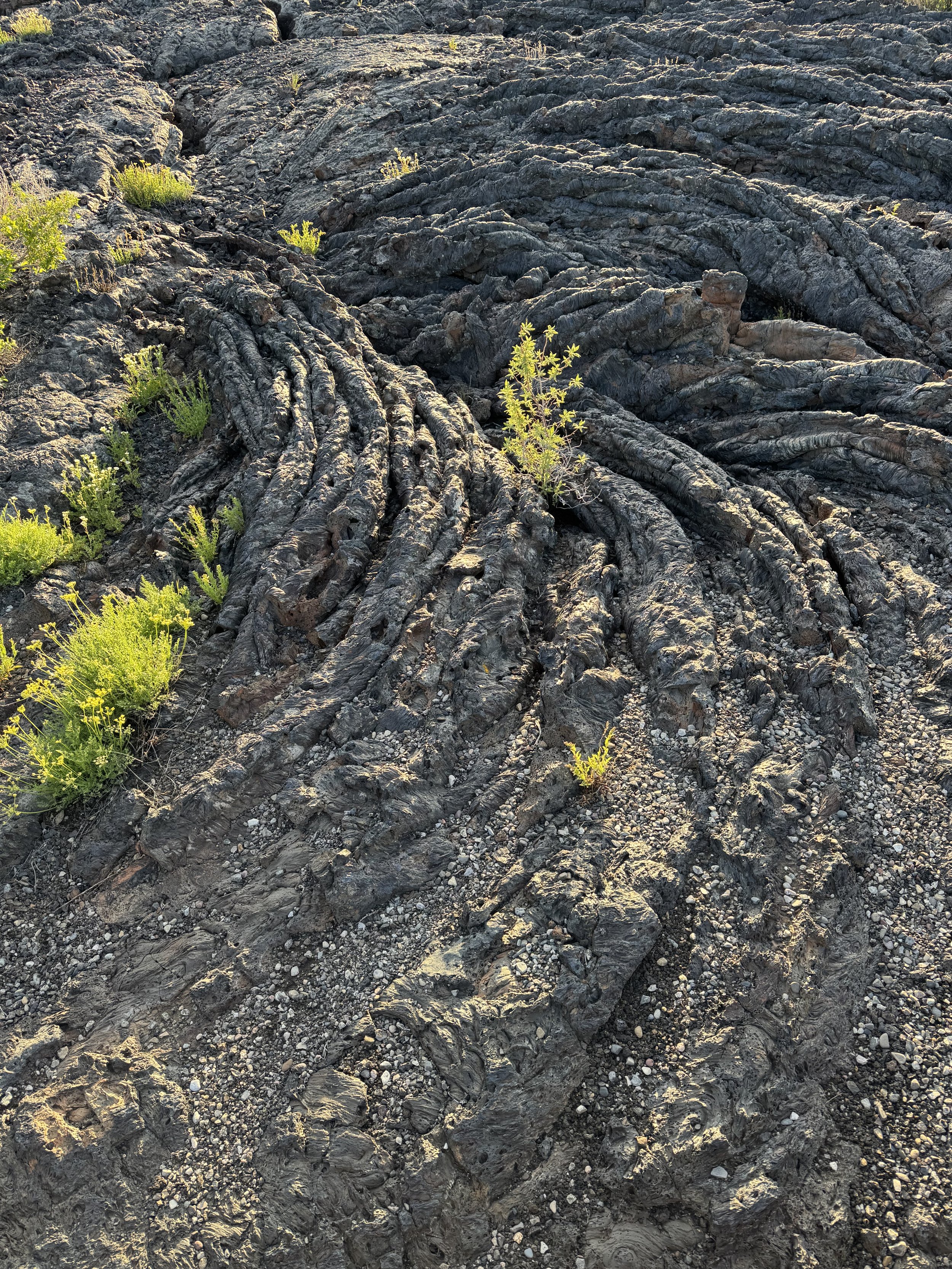 Sunset over lava fields