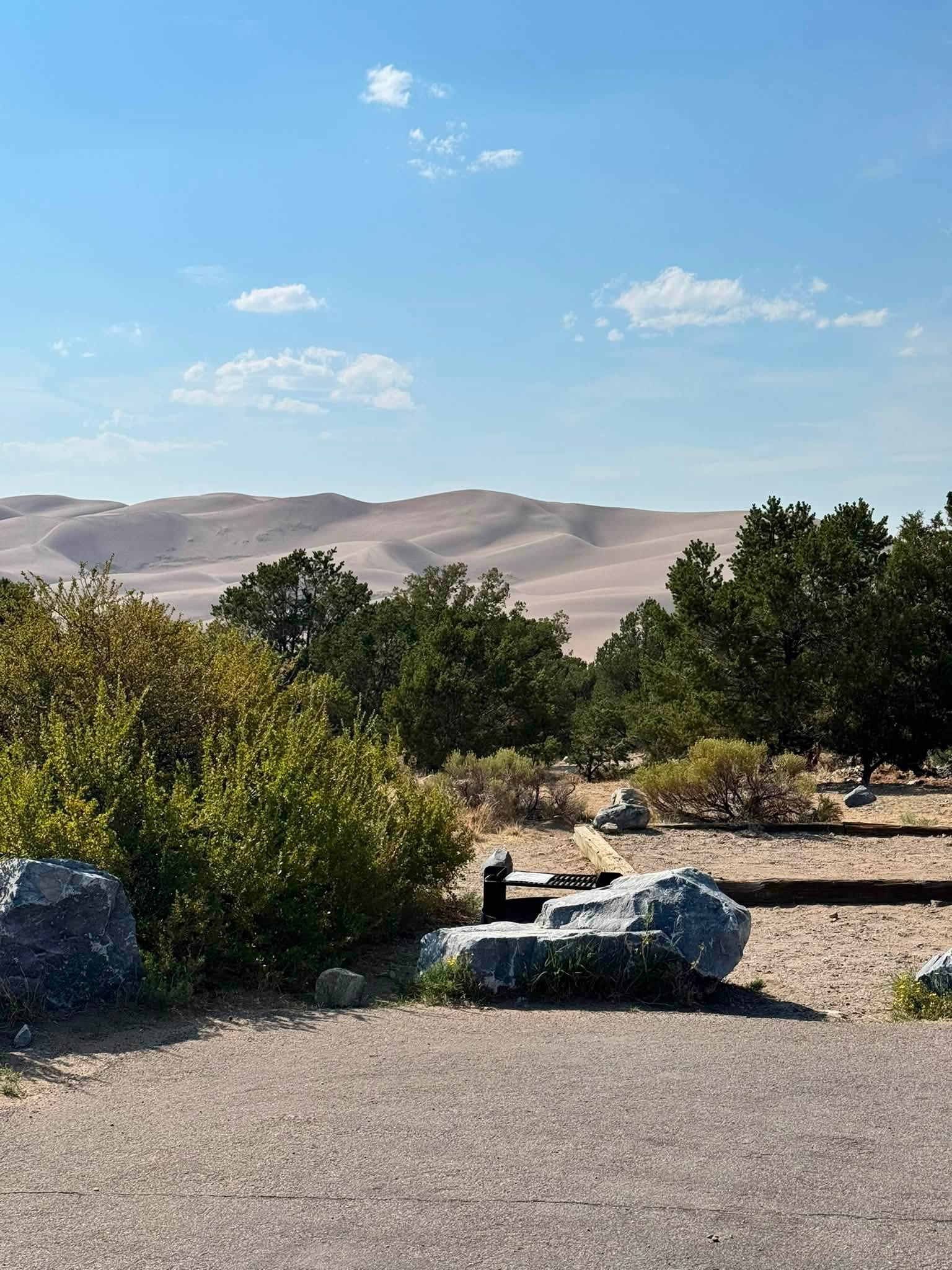 The view from our site at Piñon Flats Campground, with the dunes rising above the piñon trees