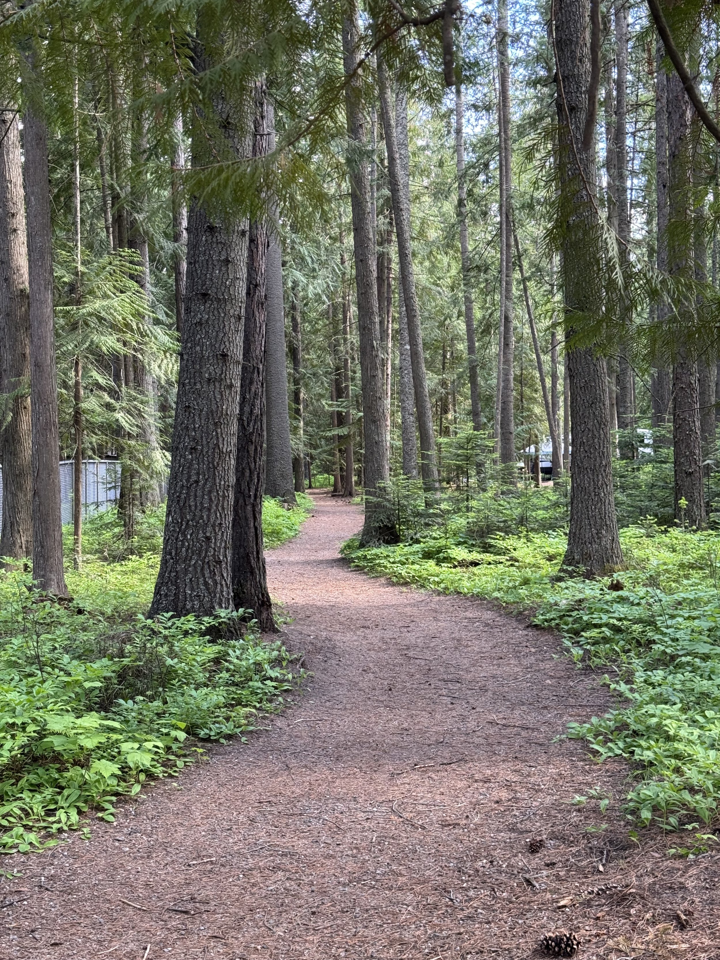 Lake Pend Oreille area