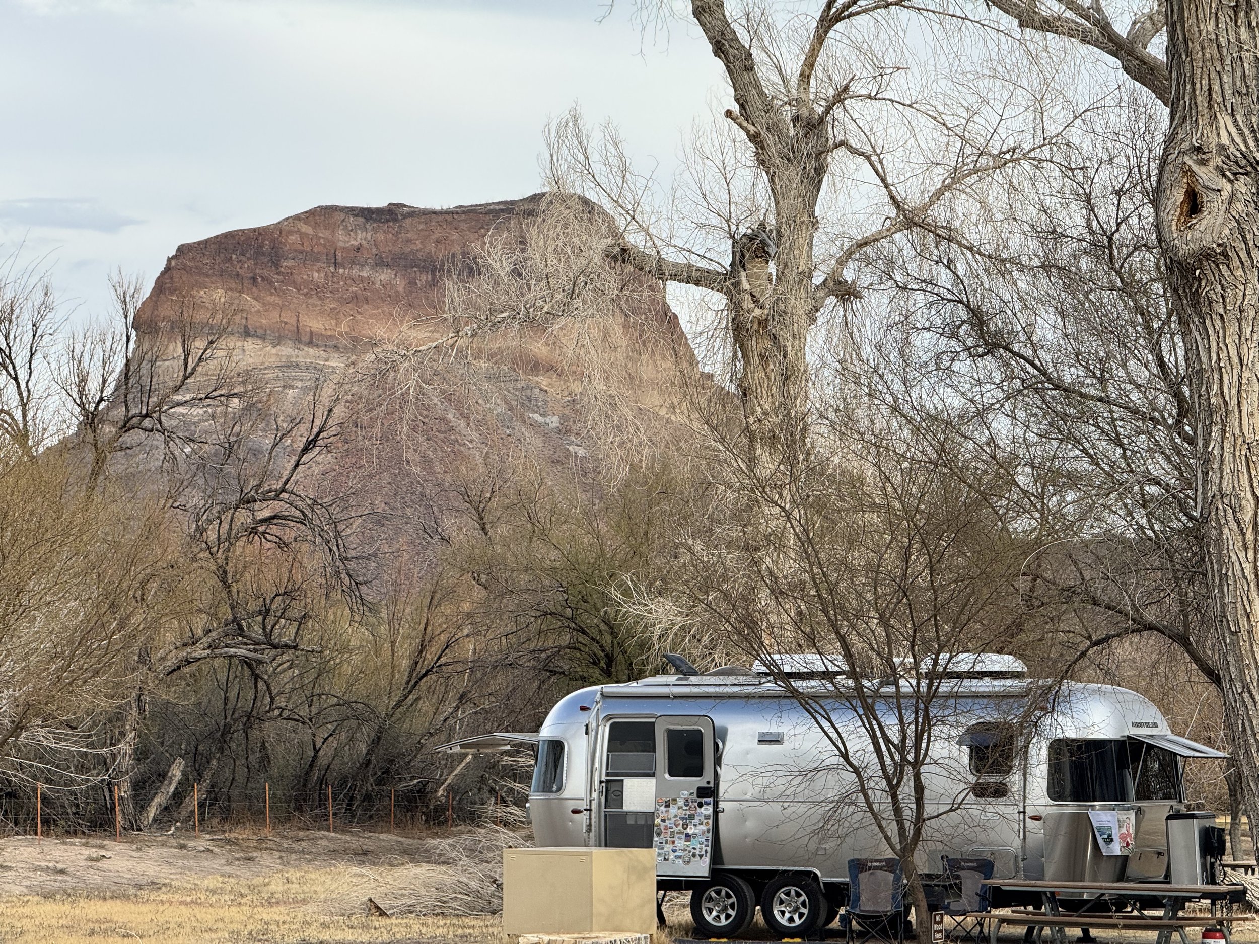 Nestled among the soon to be missing cottonwoods at Cottonwood Campground