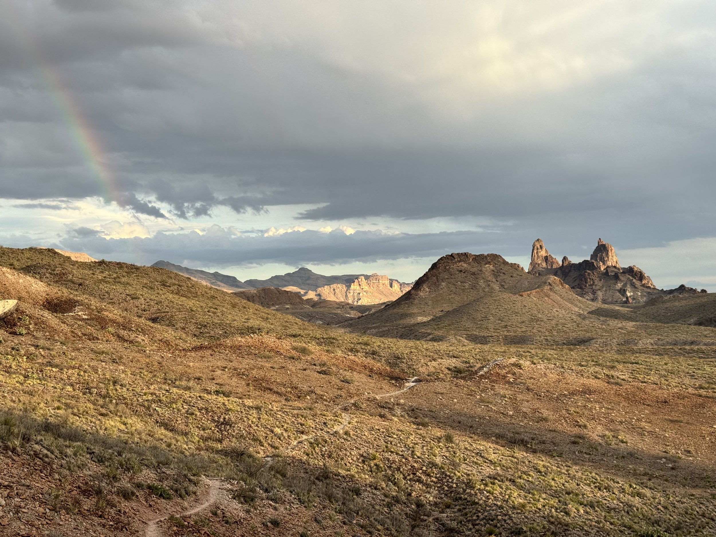 Mules Ears with a Rainbow