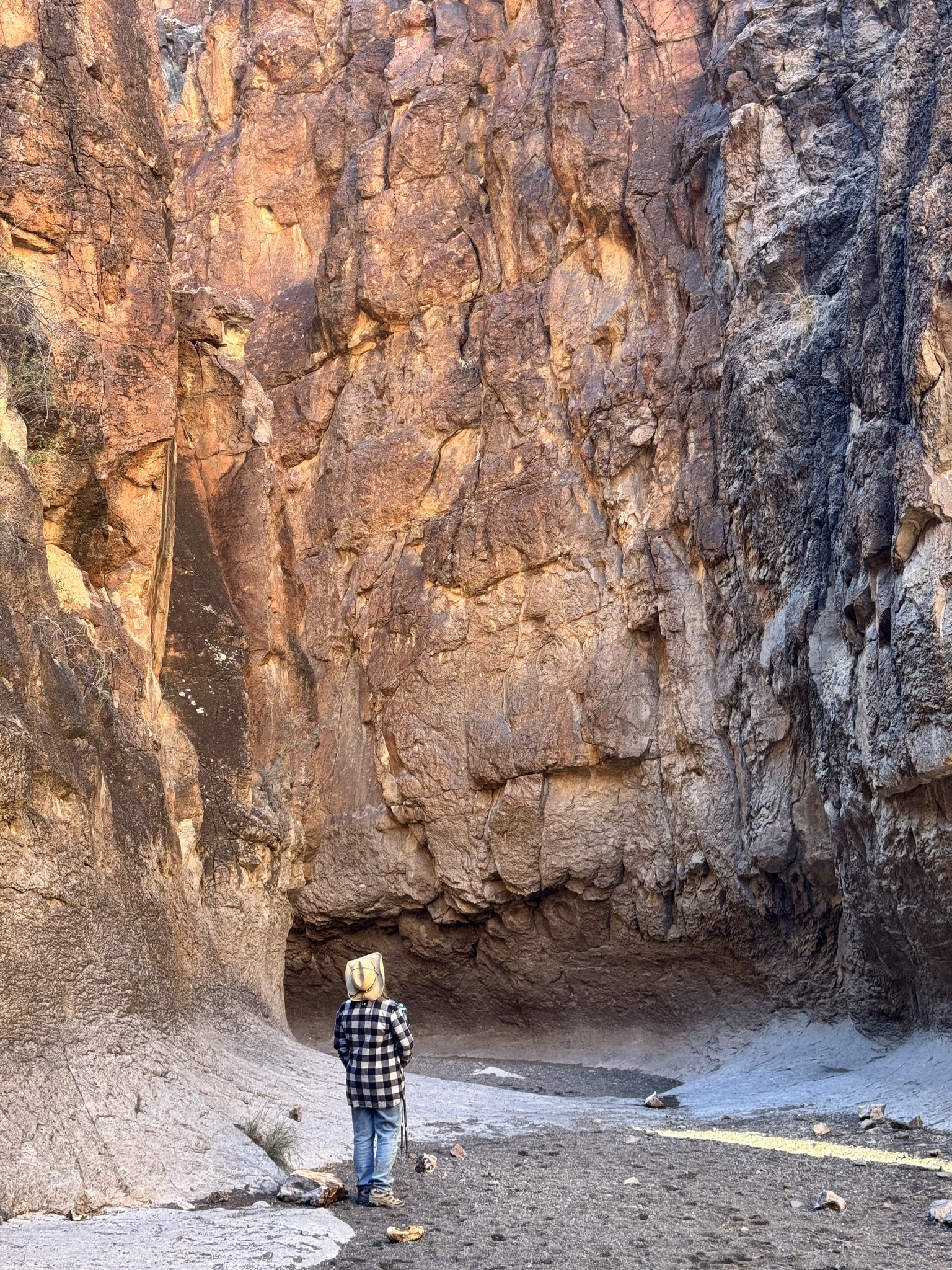 Driving through Big Bend National Park toward Rio Grande Village