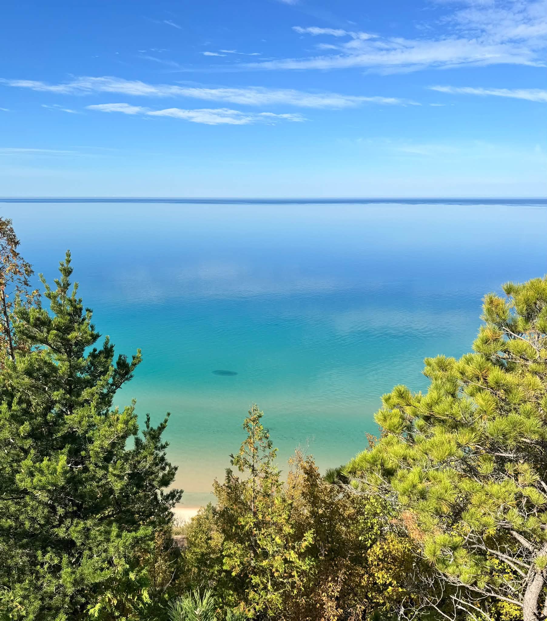 Looking down through green pines from a high dune to turquoise water shading into deep blue Lake Michigan