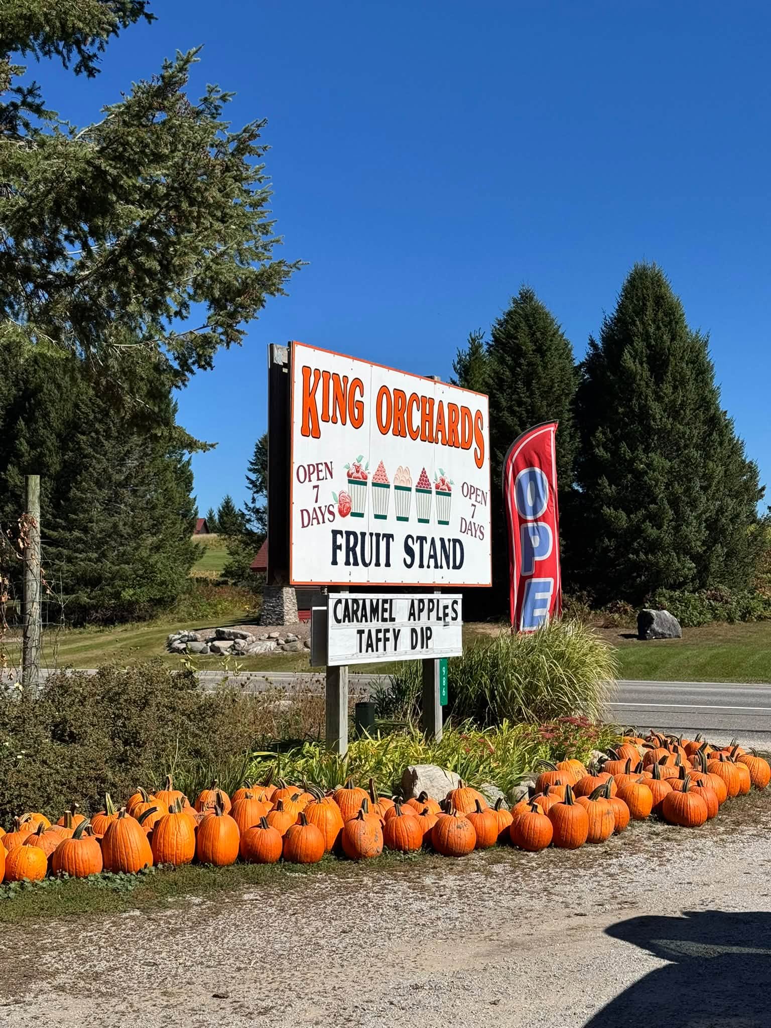 The King Orchards fruit stand sign advertising caramel apples and taffy dip, with a long row of orange pumpkins lining the drive under a bright blue sky