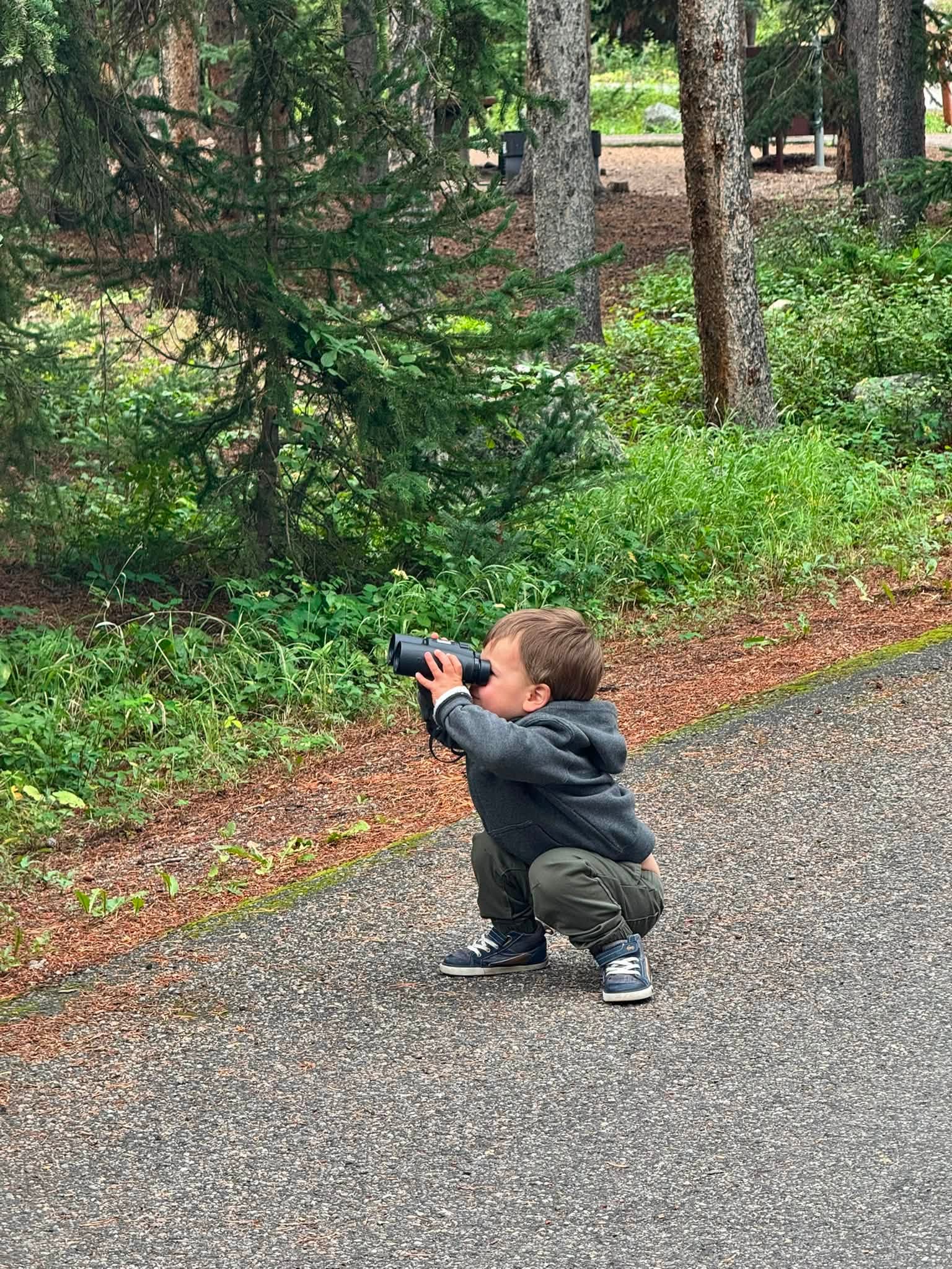 Ben crouched down on the campground road, holding a pair of binoculars up to his eyes and studying the pines