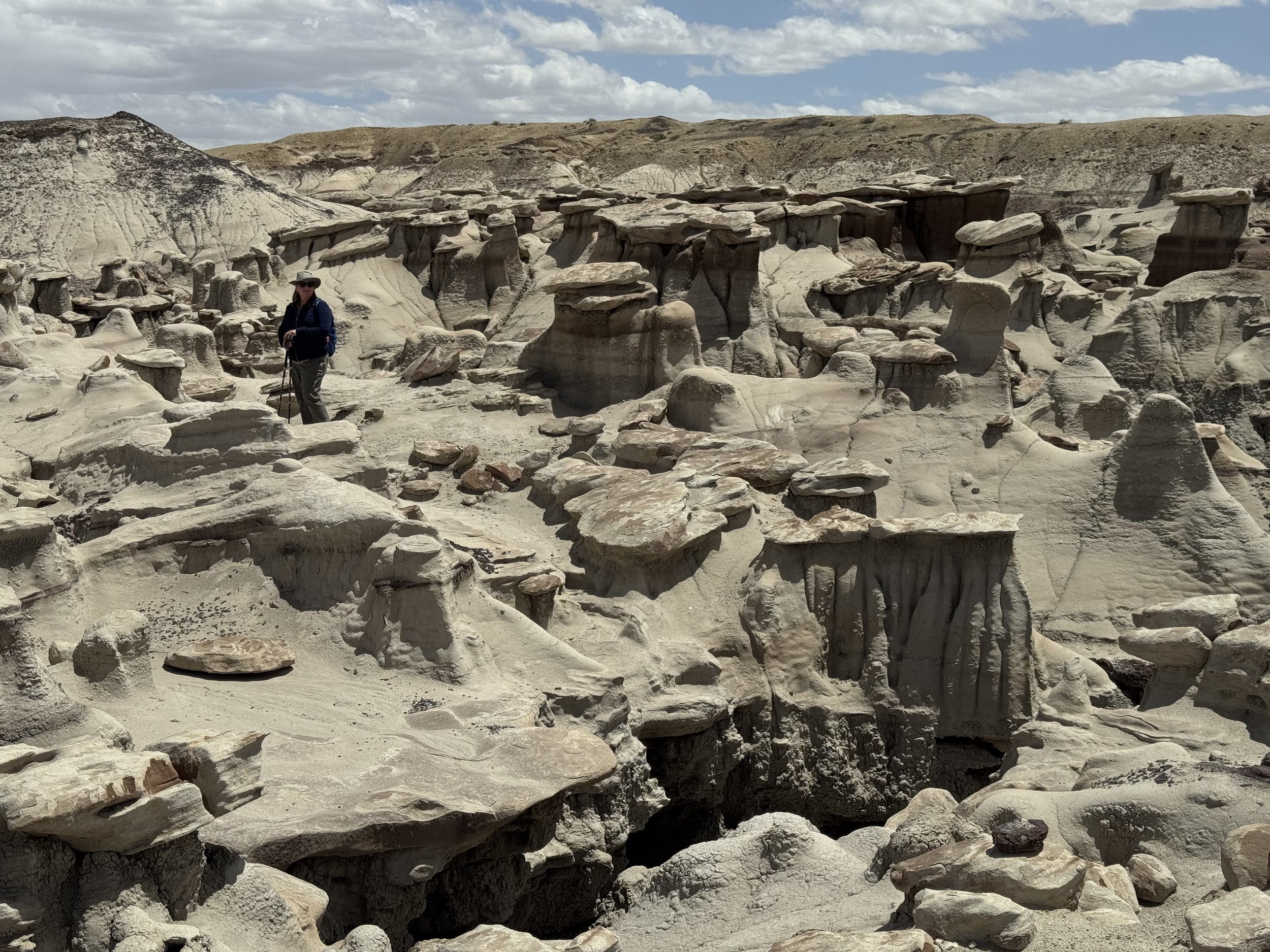 Bisti Badlands, New Mexico