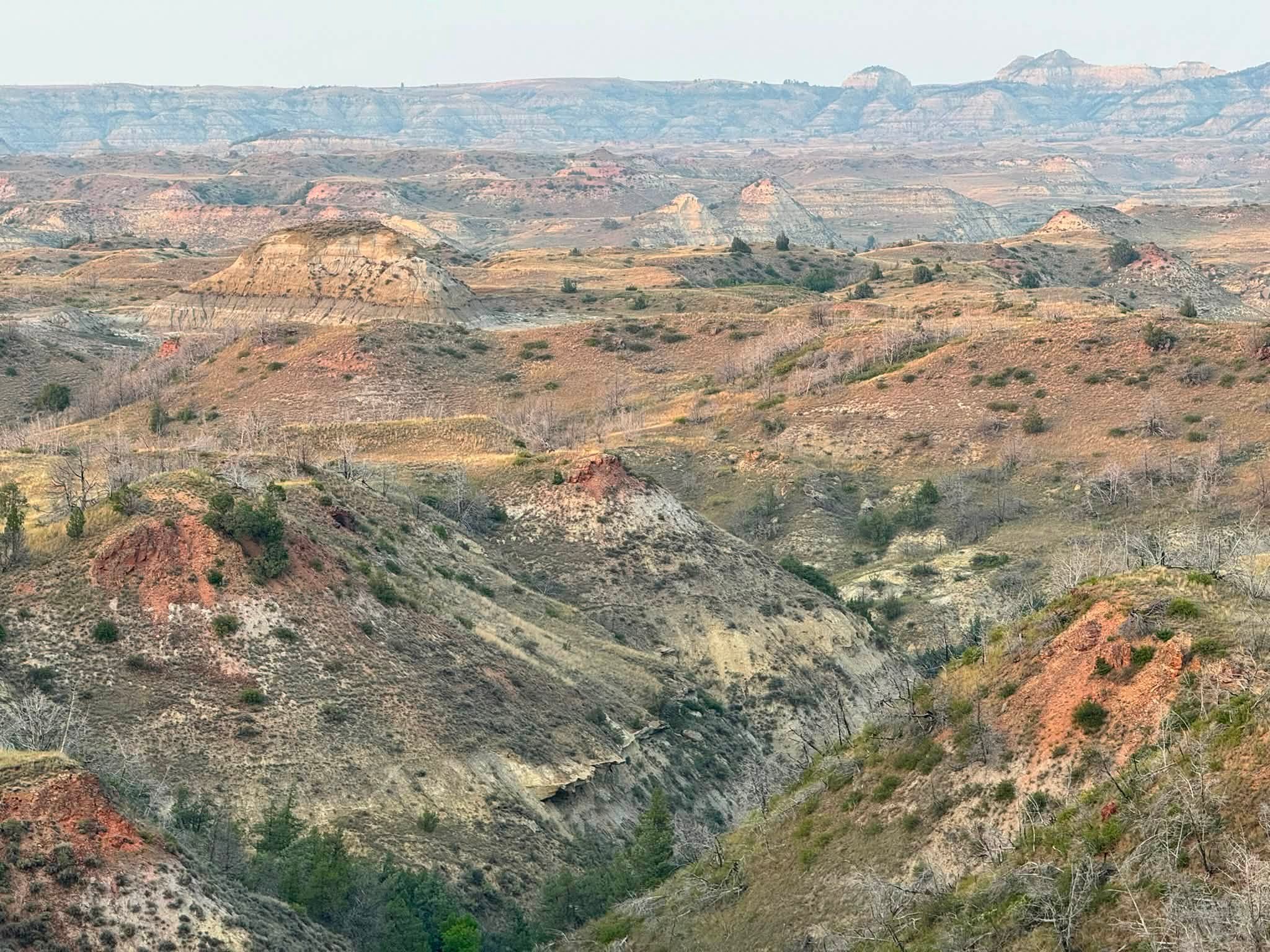 Layered badlands stretching to the horizon in bands of rust, cream and pale green, cut by ravines and dotted with juniper